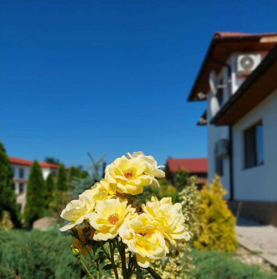 Pensiunea Paradiso Sarinasuf Dış mekan fotoğraf